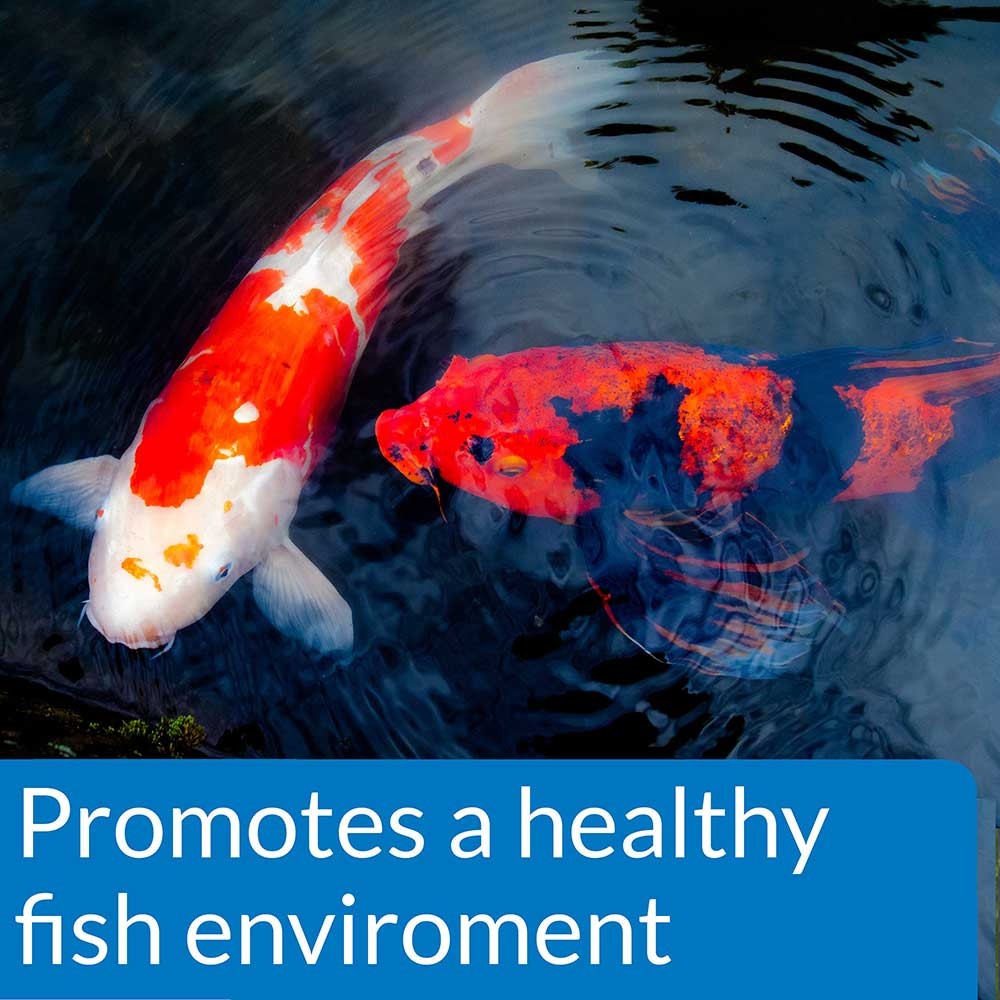 Ecofix Sludge Destroyer Promotes a Good, Clean Fish Environment