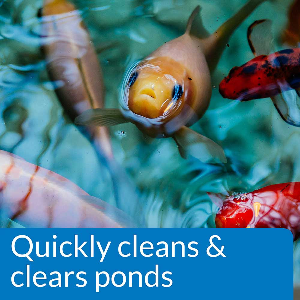 API Pond Simply Clear Quickly Cleans Pond Water