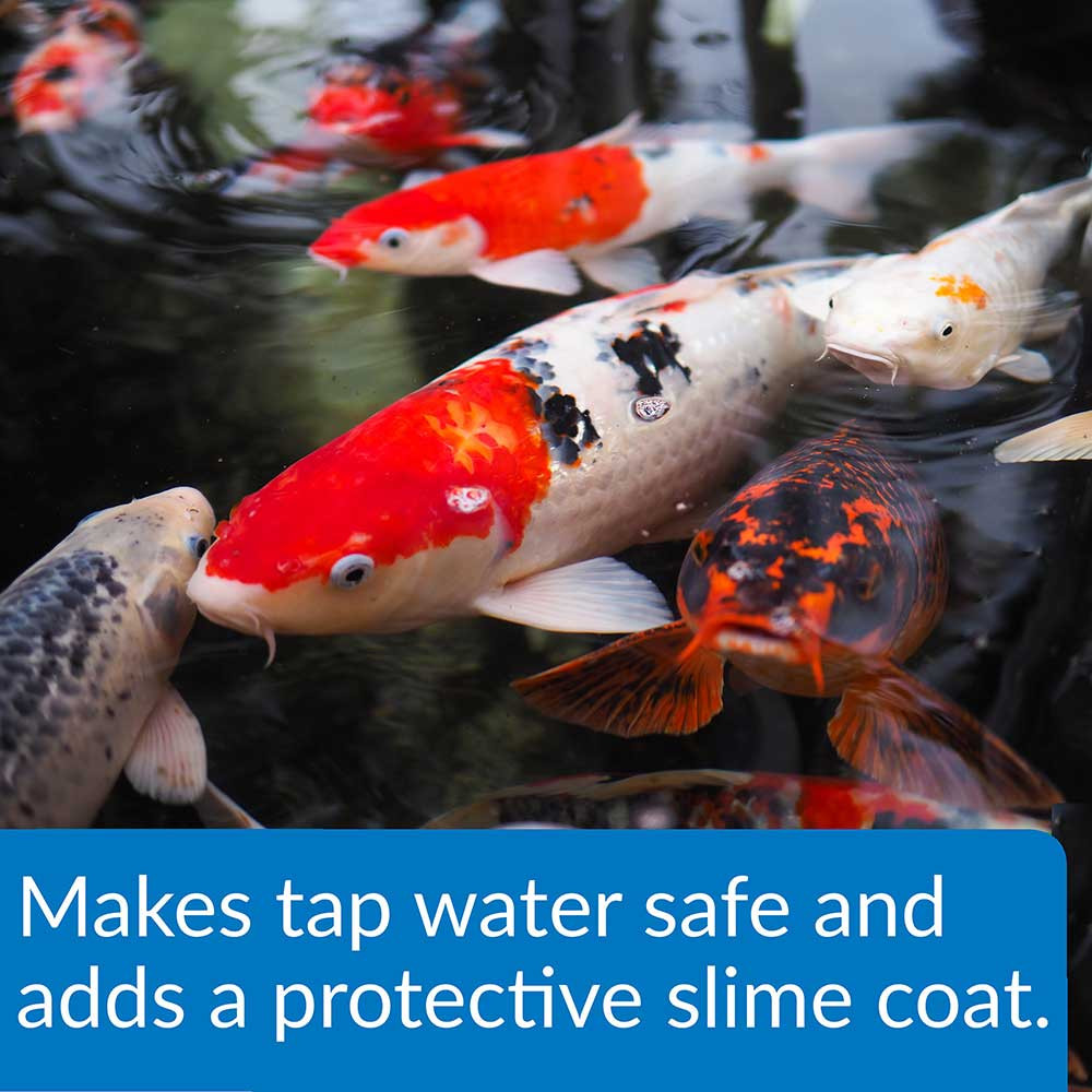 API Pond Stress Coat Adds a Protective Slime Coat on Pond Fish