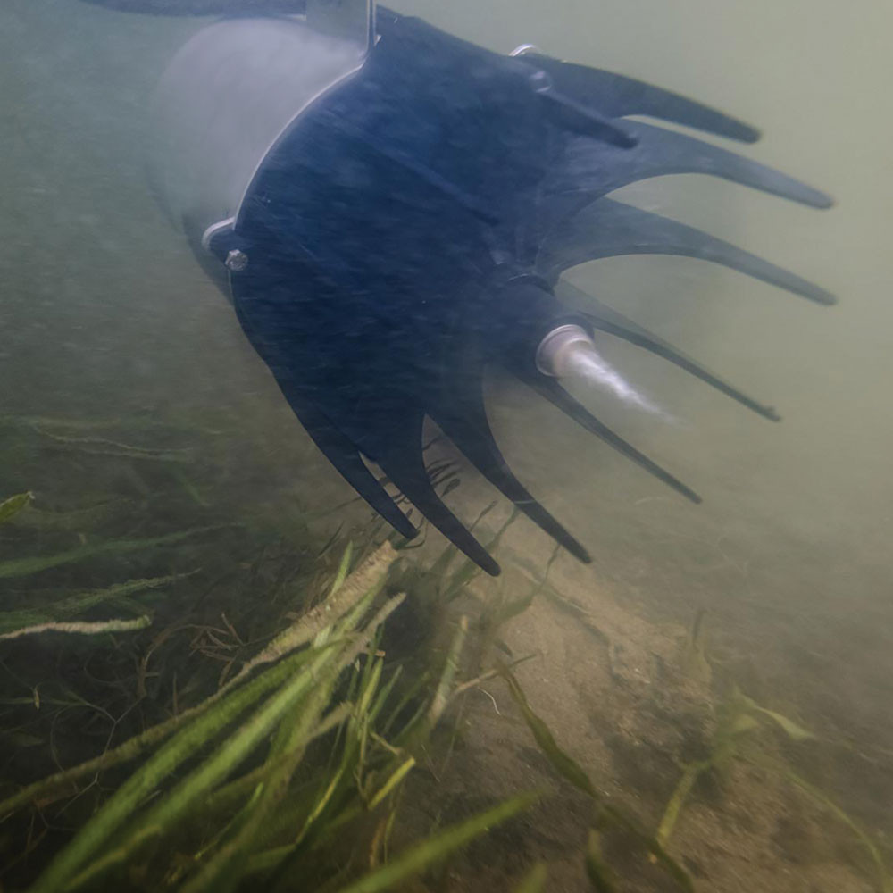 Move Muck and Weeds Away From Beaches and Shorelines