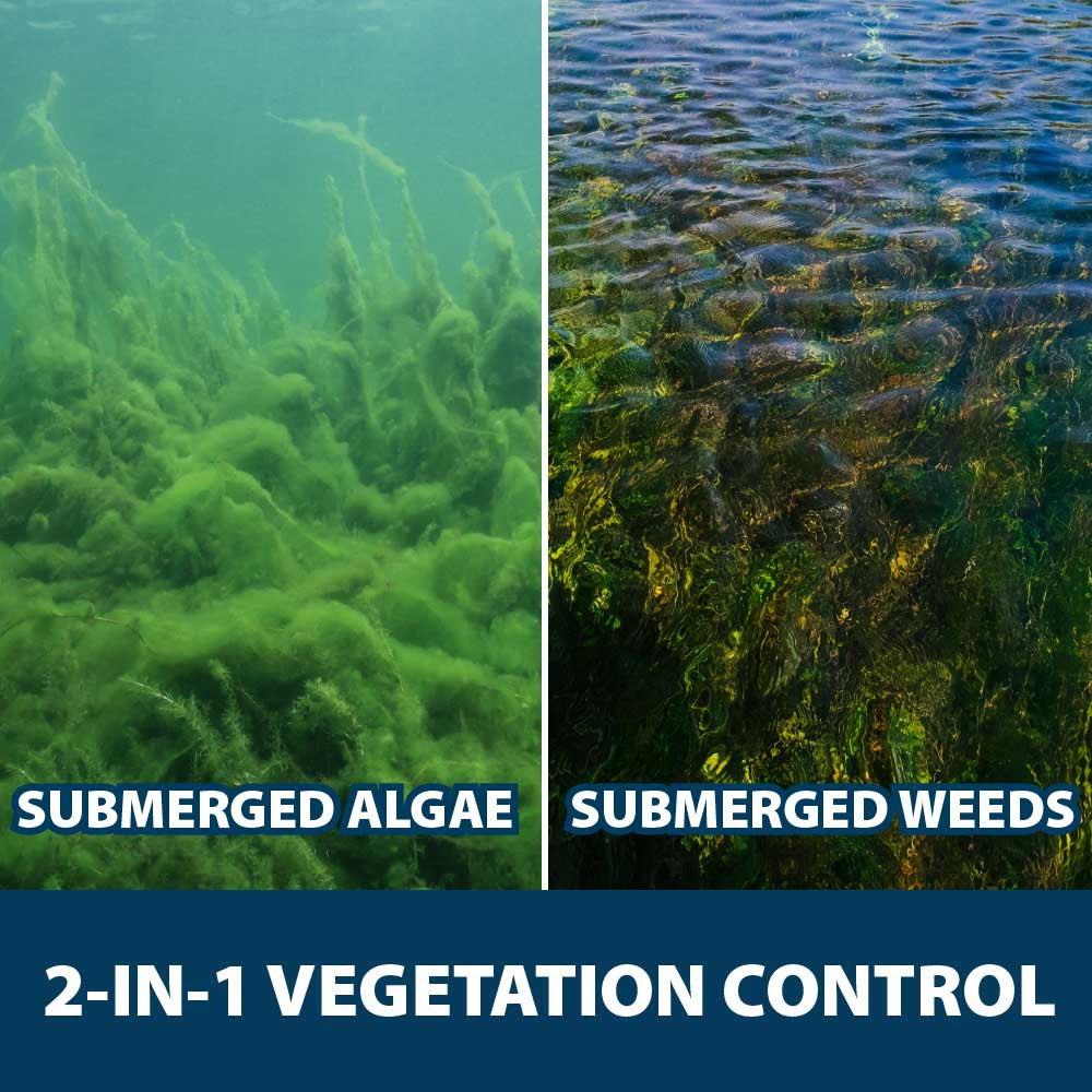 Split image of submerged algae and submerged weeds, with text: “2-in-1 vegetation control”.