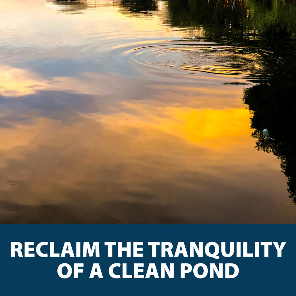 Sunset reflecting off the ripples of a pristine pond, with text: “Reclaim the tranquility of a clean pond”.