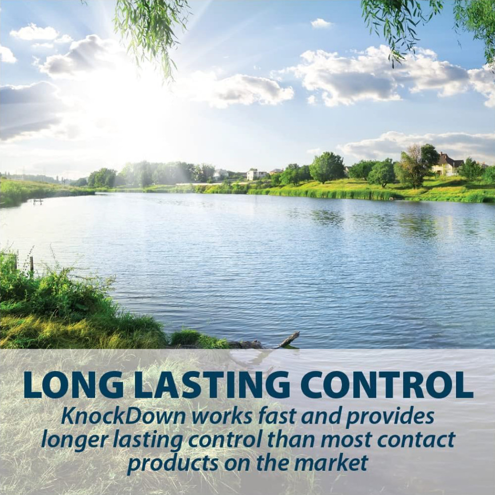 A sunny, clean lake, with text: “Long Lasting Control; KnockDown works fast and provides longer lasting control than most contact products on the market”.