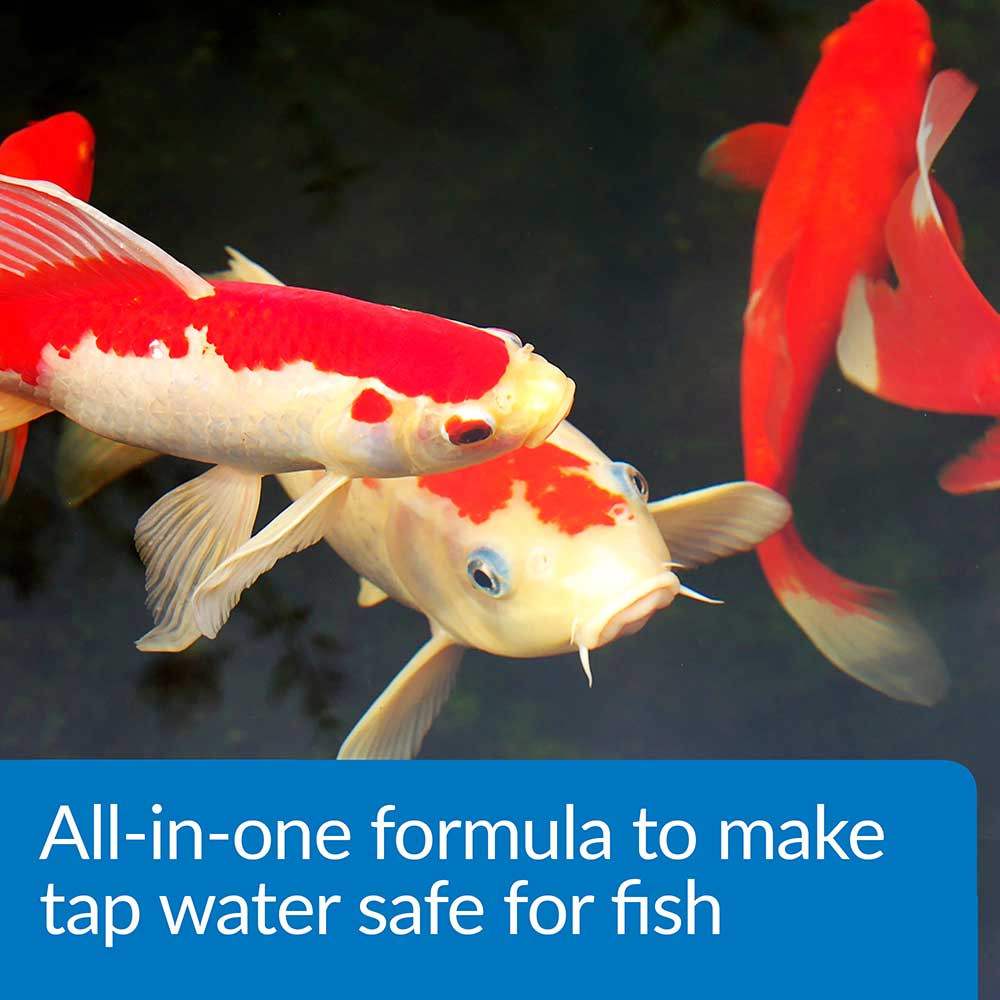 Tap Water Treatment
