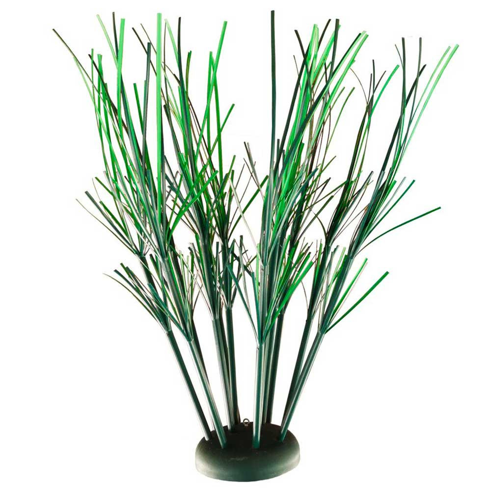 The Honey Hole by Pond King