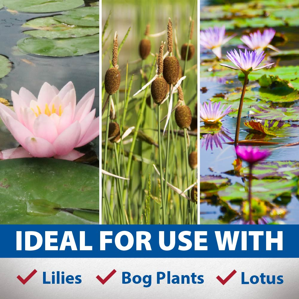 Collage of aquatic plants including lilies, bog plants, and lotus, with text highlighting Aquatic Planting Media as ideal for these plant types.
