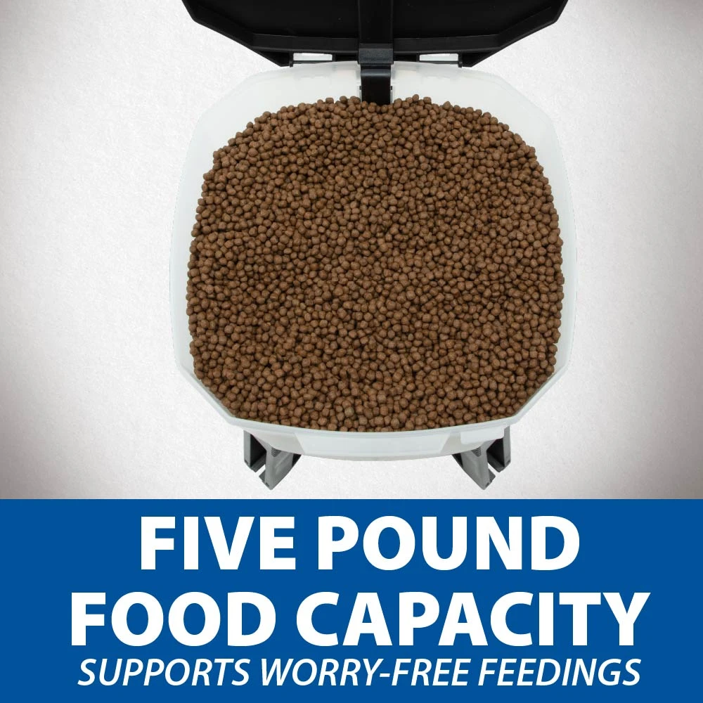 Top view of KoiGrower feeder hopper filled with pellets showing five-pound fish food capacity.