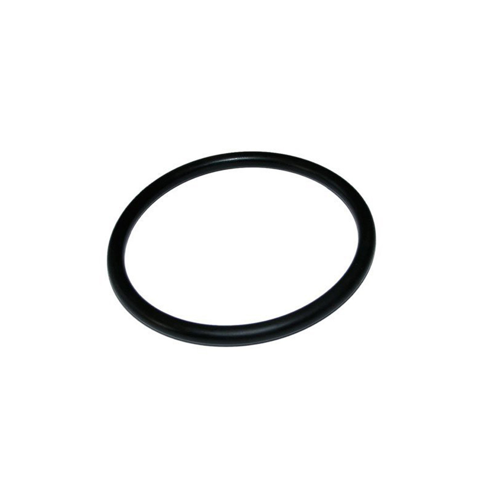 O-Ring for BioTec 12-36 & BioTec ScreenMatic² 18000 / 24000 / 32000 / 39000
