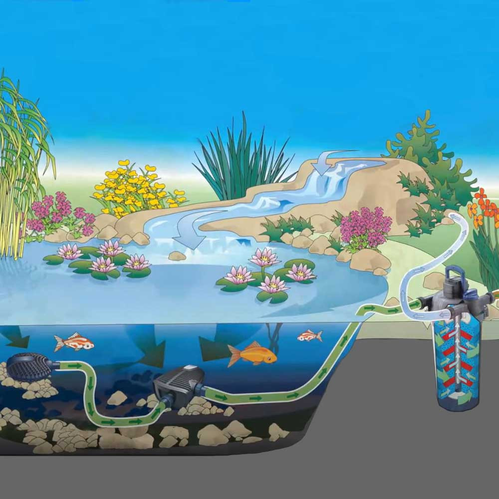 AquaMax Satellite Filter, AquaMax Eco Premium Pump & Pressurized Filter Setup