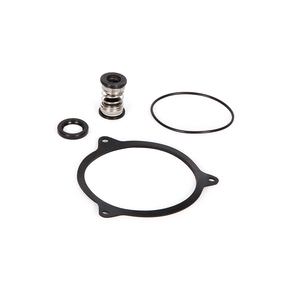 Replacement Lower Oil Seal Rebuild Kit for Atlantic A-Series Pumps A-21 & A-31
