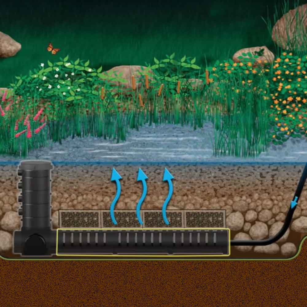 Centipede Modules Highlighted in a Wetland Filter