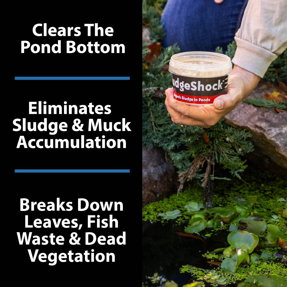 A person holding SludgeShock next to a planted pond, with text: 