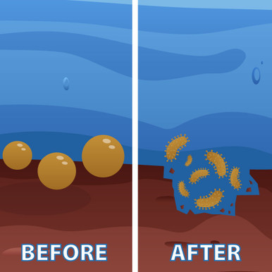 A before-and-after image showing the SludgeShock balls breaking down muck as illustrated bacteria.