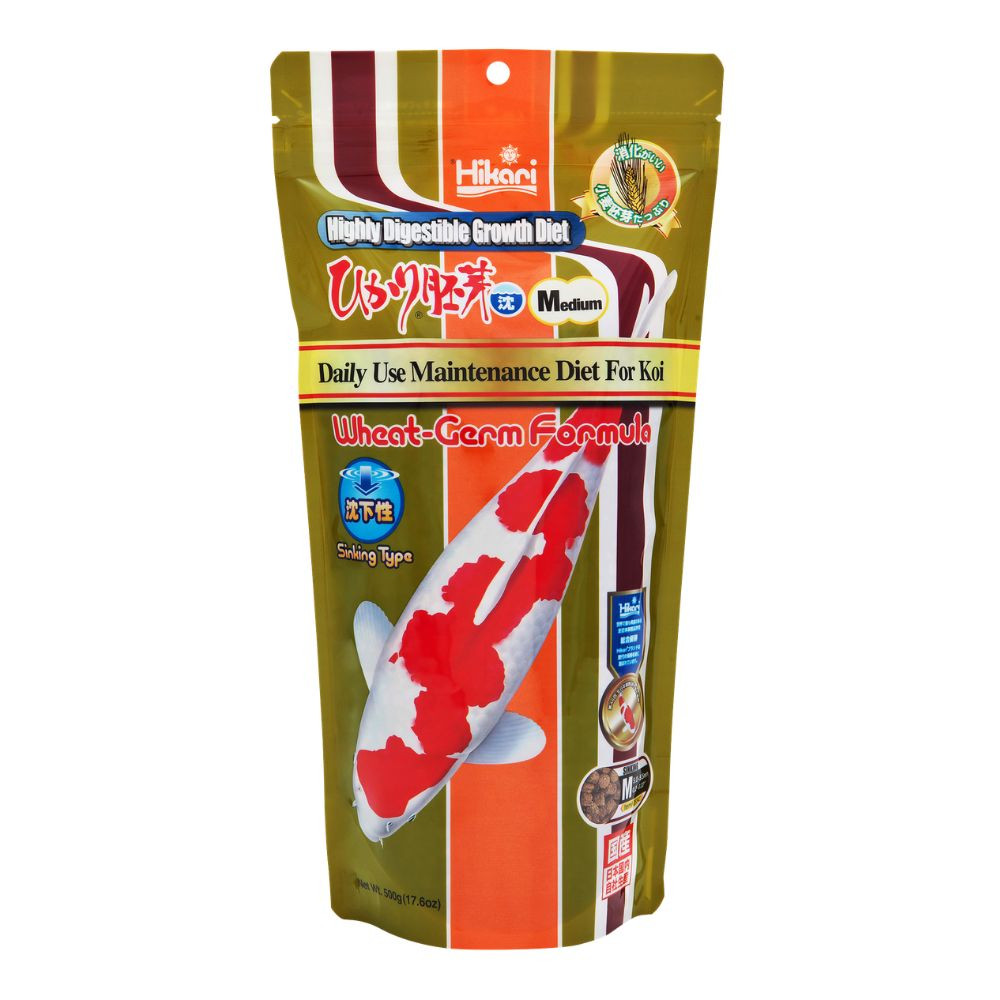 Hikari Sinking Wheat-Germ Formula koi food, 17.6 oz bag with medium pellets, highly digestible diet for pond fish in cooler water conditions