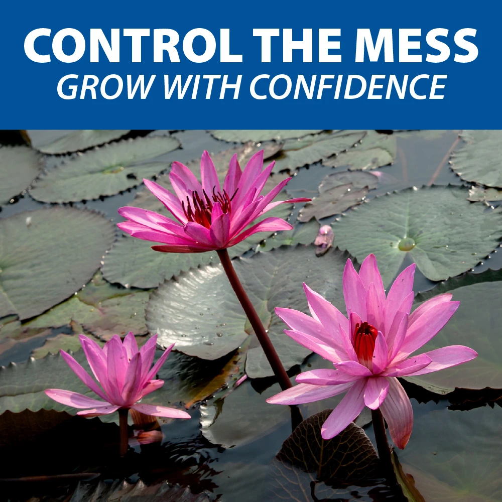 Pink water lilies blooming on pond surface with text promoting mess control and confident plant growth in aquatic environments.