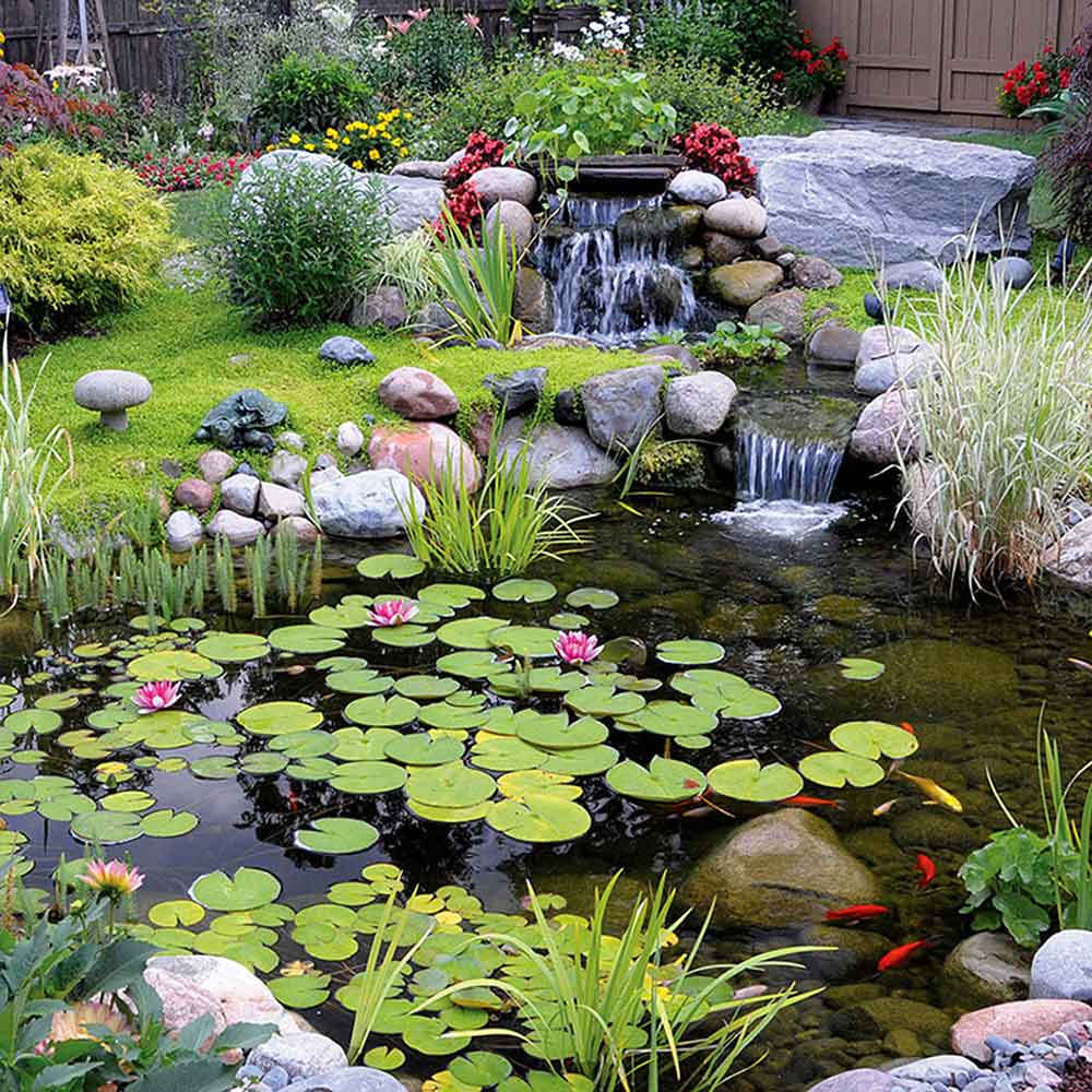 Blue Thumb Elite Falls Pondless Kit