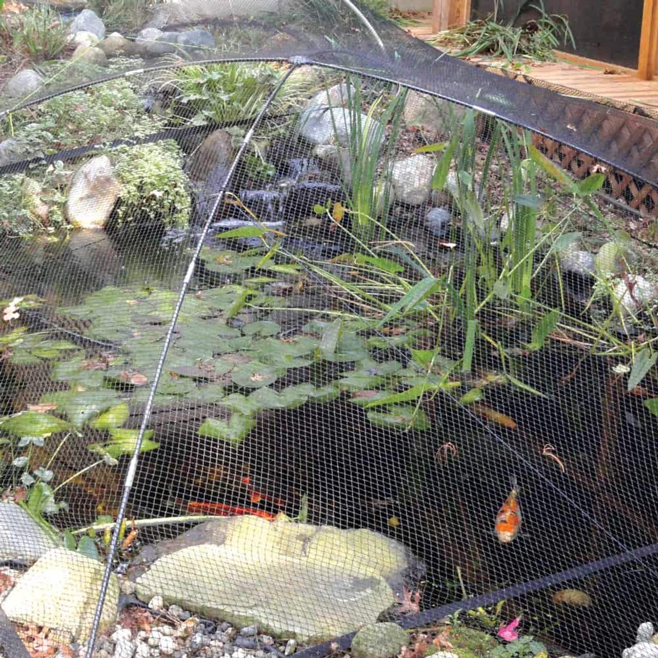 Pond Netting – The Best Way to Protect Your Pond Fish - Commercial