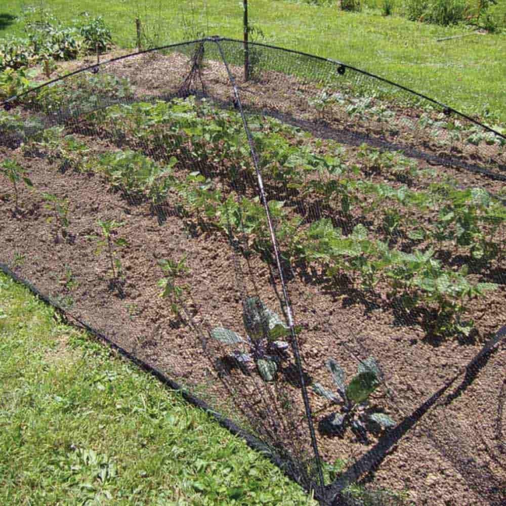 Pond Protection Net | Atlantic Pond Net | The Pond Guy