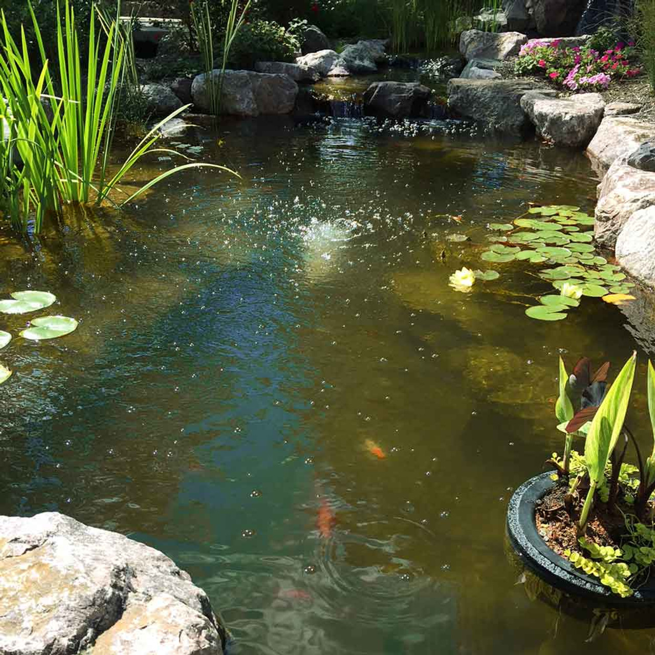 Best Fish Pond Net 2024 (Reviews & Comparison) - Pond Informer