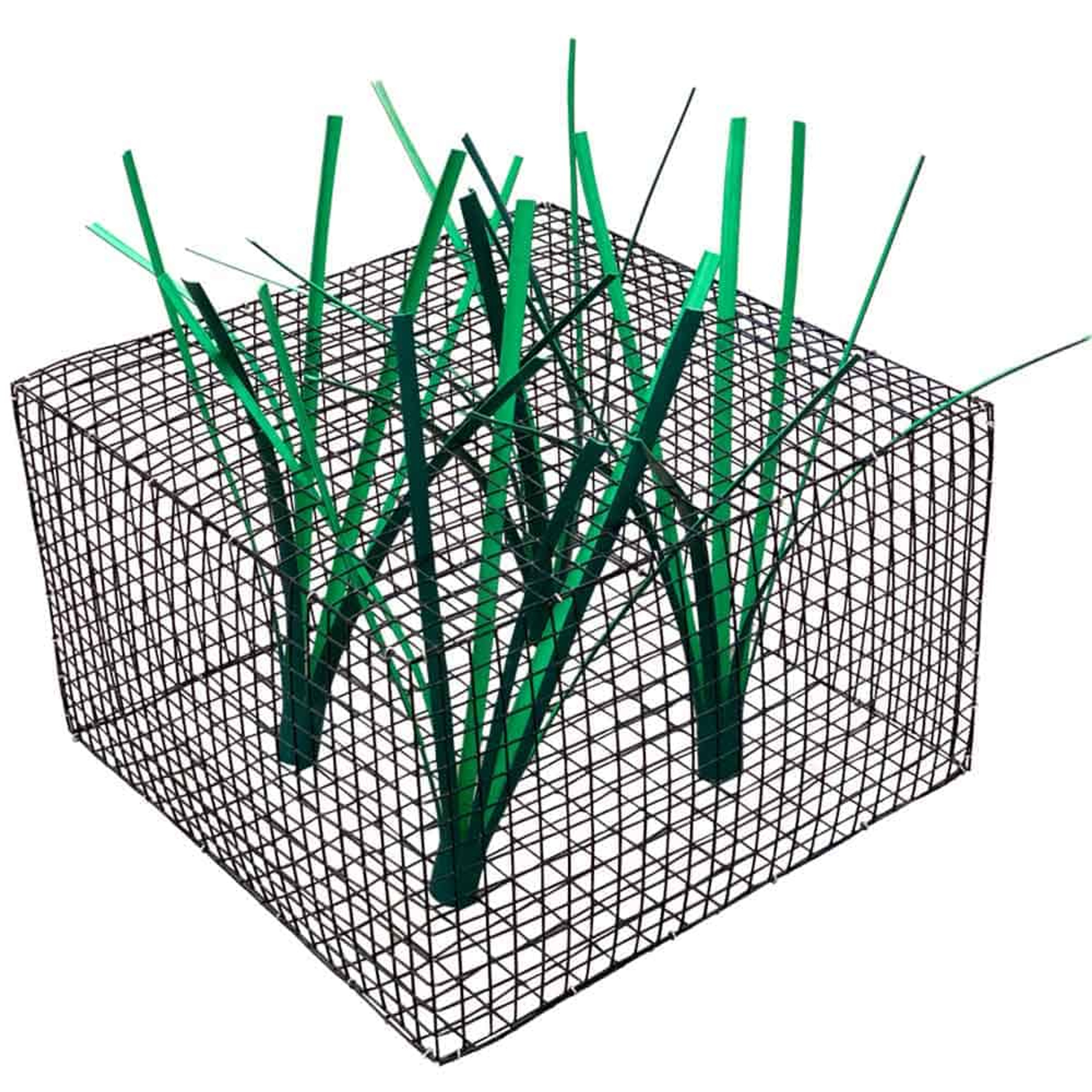 Honey Hole Nursery Protects New Fry The Pond Guy