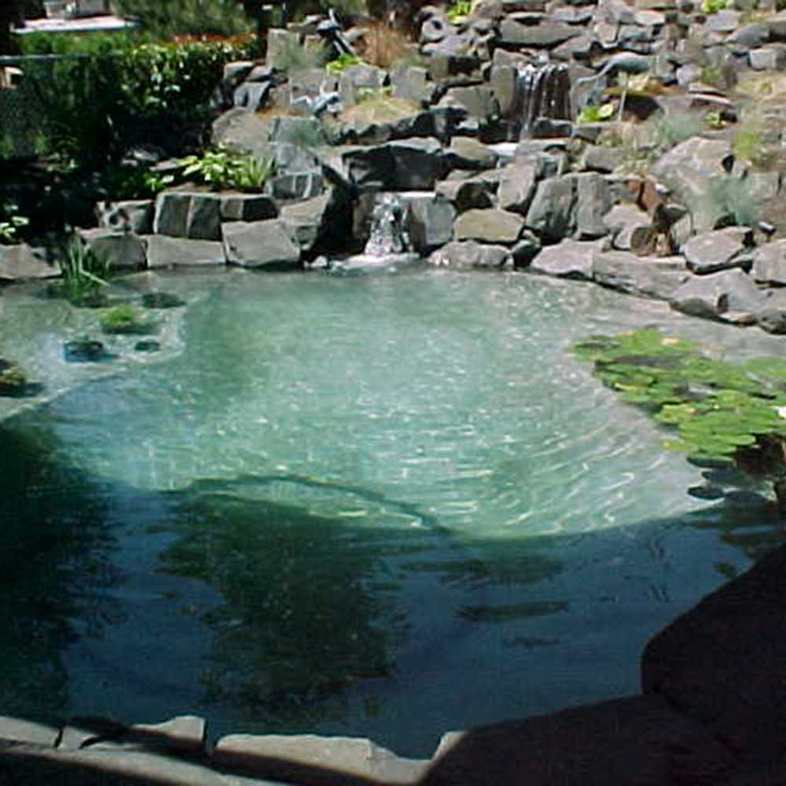 Pond Armor Epoxy Pond Shield Primer The Pond Guy