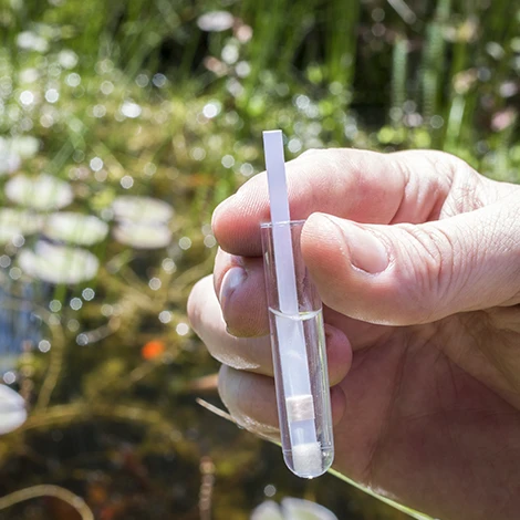 What is the Ideal pH Range for a Koi Pond? - The Pond Guy