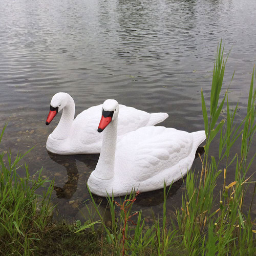 Floating Swan Decoy Pair View Product Image