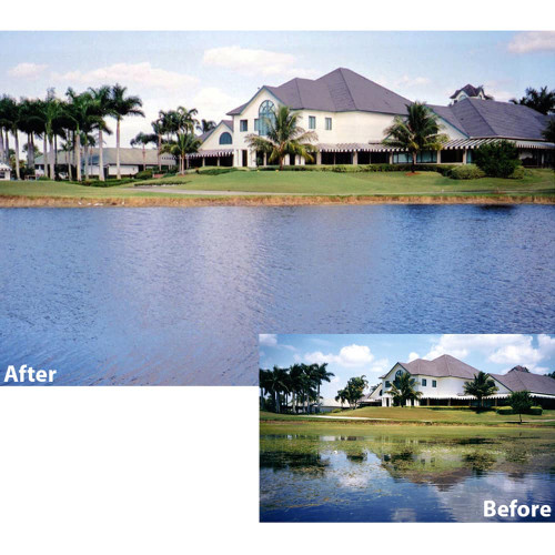 Sonar A S Aquatic Herbicide Weed Control The Pond Guy Sonar a s aquatic herbicide weed control the pond guy