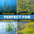 Collage showing submerged weeds, floating weeds, emergent weeds, and floating algae targeted by the Jenlis Weed Raker. View Product Image