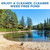 Clear, weed-free pond surrounded by trees, illustrating results achieved after removing aquatic weeds and floating debris. View Product Image