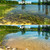 Before and after lake shoreline showing heavy aquatic weed growth removed with the Jenlis Weed Raker, leaving clear water and a clean bottom View Product Image