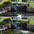 Before and after comparison of pond water showing improved clarity and circulation after installing aeration system. View Product Image