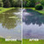 Before & After image showing a murky pond made clean and clear by Pond Dye Plus View Product Image