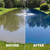 Before-and-after pond dye comparison showing murky green-brown water transformed to deep blue water around a fountain in a landscaped pond. View Product Image