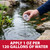 Person pouring measured dose of Stress Reducer Plus into koi pond water demonstrating application rate of one ounce per 120 gallons for safe conditioning View Product Image