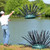 Pond King Honey Hole Shrub Shore Installation View Product Image