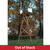 Decorative Wooden Backyard Windmills View Product Image