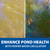 A split image depicting murky water versus clear water in a koi pond, with text: “Enhance pond health with proper water circulation”. View Product Image