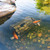 Aquascape Faux Log Fish Cave View Product Image