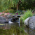Create Your Own 6000 Gallon Backyard Pond with Waterfall View Product Image