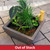 Aquascape Aquatic Patio Pond Kit View Product Image