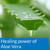 API Pond Stress Coat Contains the Healing Power of Aloe Vera View Product Image