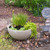 Desert Granite Patio Pond - Aquatic Plants Sold Separately View Product Image