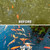 The Pond Guy DefensePAC View Product Image