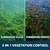 Split image of submerged algae and submerged weeds, with text: “2-in-1 vegetation control”. View Product Image
