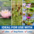 Collage of aquatic plants including lilies, bog plants, and lotus, with text highlighting Aquatic Planting Media as ideal for these plant types. View Product Image