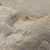 Close-up of DekoRRa’s Sandstone faux rock texture, a beige-colored surface designed for blending into natural landscapes and covering utilities. View Product Image