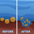 A before-and-after image showing the SludgeShock balls breaking down muck as illustrated bacteria. View Product Image