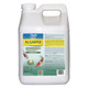 API Algaefix | Algae Control for Pond | The Pond Guy