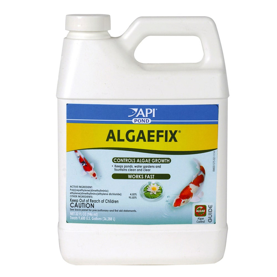 API Algaefix | Algae Control for Pond | The Pond Guy